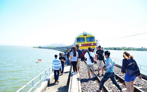 催行中止 1 9 土 タイ国鉄 ひまわり列車 でダムの上を走る ロッブリーひまわり畑 バンコク発 タイ バンコク 現地ツアー