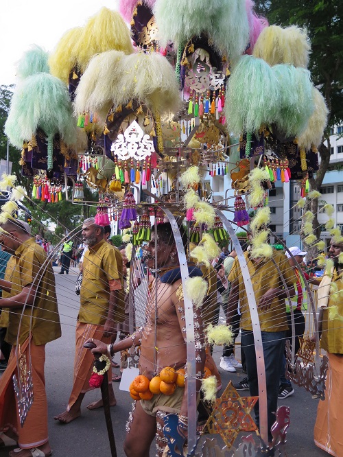 【シンガポール イベント情報】ヒンズー教の奇祭「タイプーサム」