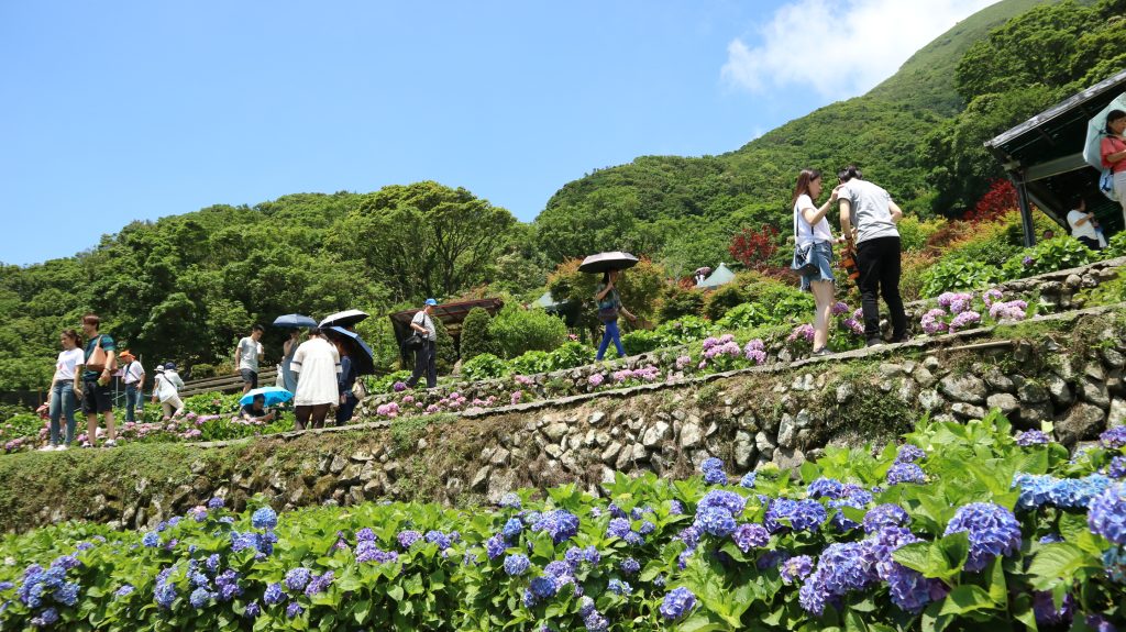 7月6日(木)本日の台北