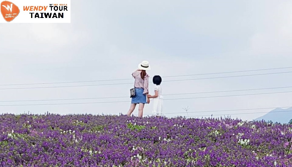 10月26日(木)本日の台北と關渡花海祭り