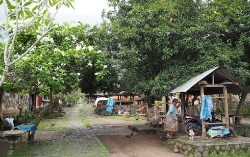 バリ島の先住民が暮らすトゥガナン村へ！！【バリ島・観光情報】