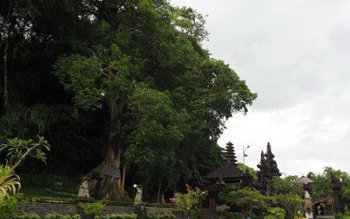 「コウモリがたくさんいる寺院」として有名なゴアラワ寺院へ行ってみた！！【バリ島・観光情報】