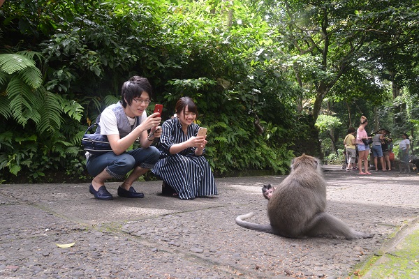 3泊5日バリ島旅行プラン カップル旅行編 バリ島 観光情報 ブログ詳細 ウェンディーツアー