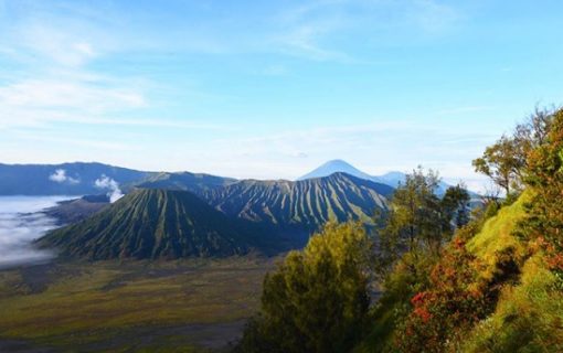 知られざる至福の楽園を訪ねて＜ブロモ聖峰を巡る旅＞その3【インドネシア・観光情報】