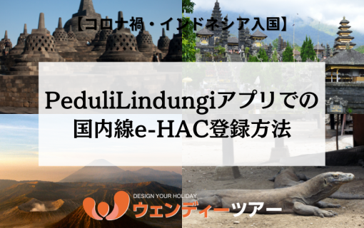 【コロナ禍・インドネシア入国】PeduliLindungiアプリでの国内線e-HAC登録方法