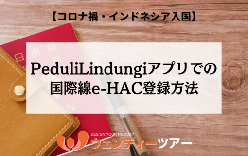 【コロナ禍・インドネシア入国】PeduliLindungiアプリでの国際線e-HAC登録方法