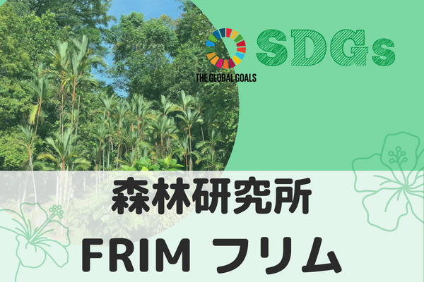 【マレーシア・クアラルンプール】旅 x SDGs 森林研究所 FRIM（フリム）~森林を守るためにできること~