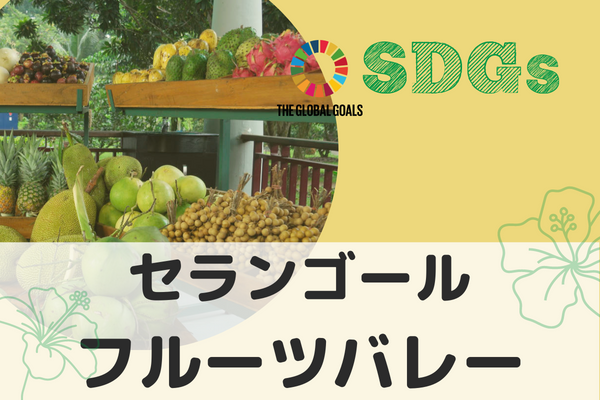 【マレーシア・クアラルンプール】旅 x SDGs　セランゴールフルーツバレー~南国フルーツや農業を知る~