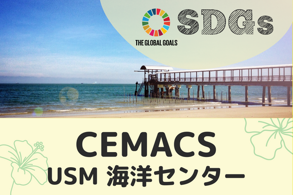 【マレーシア・ペナン】旅 x SDGs　USM海洋センター~海の環境問題を学ぶ~