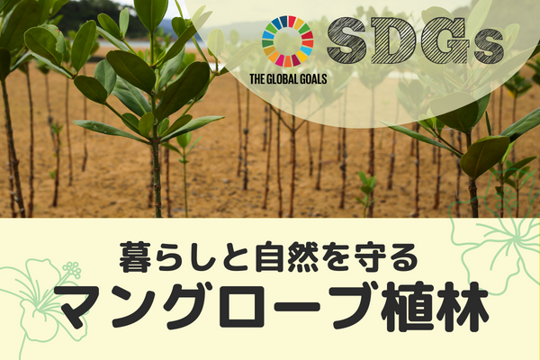 【マレーシア・ペナン】旅 x SDGs　マングローブ植林~資源を守るためにできること~