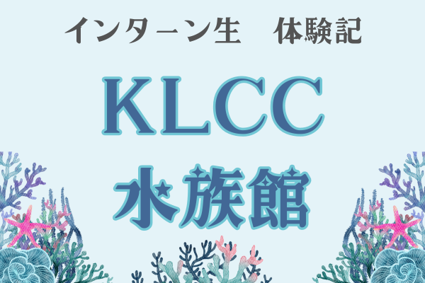 【クアラルンプール発】インターン生体験記　KLCC水族館