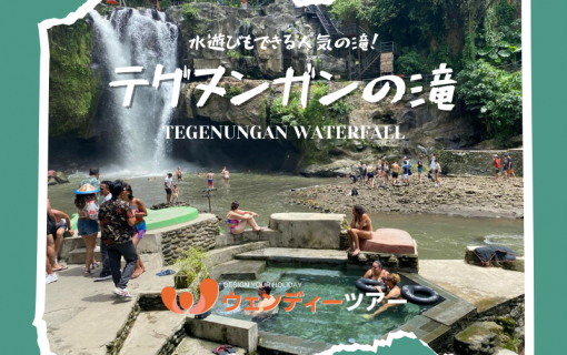 【バリ島観光】水遊びもできる人気の滝！「テグヌンガンの滝」